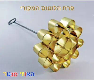 רוזטה לשבקייה פרח הלוטוס המקורי 7